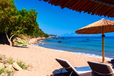 Summer beach scene with sunbathers and umbrellas in Zakynthos, Porto Zorro beachの写真素材