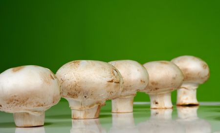 fresh mushrooms on a white table against the wallの写真素材