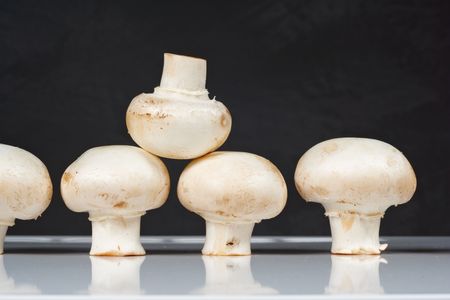 fresh mushrooms on a white table against the wallの写真素材