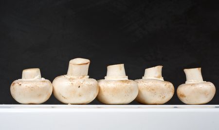 fresh mushrooms on a white table against the wallの写真素材