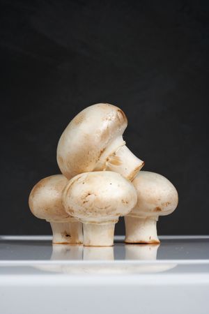fresh mushrooms on a white table against the wallの写真素材