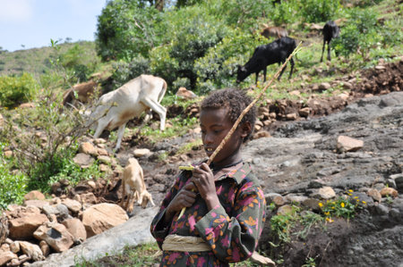 A young countryside girl and cows