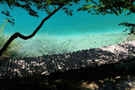 Beautiful lakeside. Pure clear water, fish, wood foot-pathの写真素材