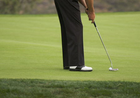Golfer Putting on the Green one Summer Day.