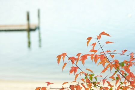 Tranquil Morning Lake and Dock Scene with Beautiful Fall Leaves.の写真素材