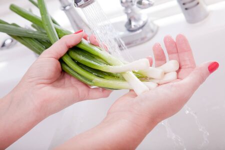 Woman Washing Onions in the Kitchen Sink.の写真素材