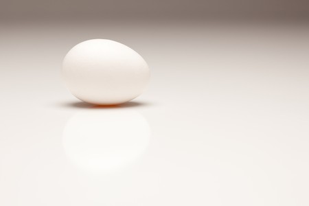 White Egg Isolated on a Gradated Background.の写真素材