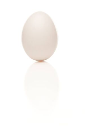 Standing White Egg Isolated on a White Background.の写真素材