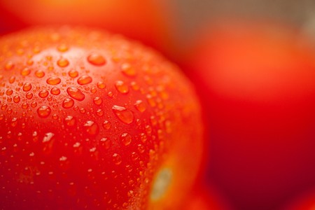 Macro of Fresh, Vibrant Roma Tomatoes with Water Dropsの写真素材