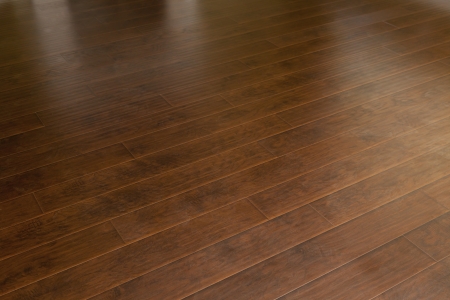 Beautiful Newly Installed Brown Laminate Flooring in Home.の写真素材