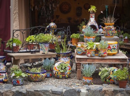 Beautiful Outdoor Shop of Decorative Pots and Succulents.の写真素材
