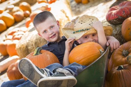 Two Little Boys Playing in Wheelbarrow at the Pumpkin Patch in a Rustic Country Setting.の写真素材