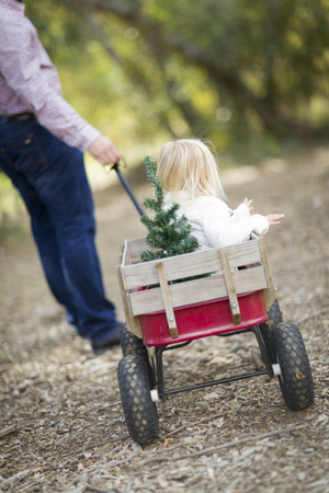 Loving Father Pulls Baby Girl in Wagon with Christmas Tree Outdoors.の写真素材