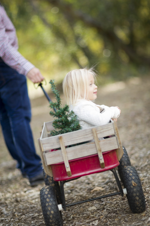 Loving Father Pulls Baby Girl in Wagon with Christmas Tree Outdoors.の写真素材