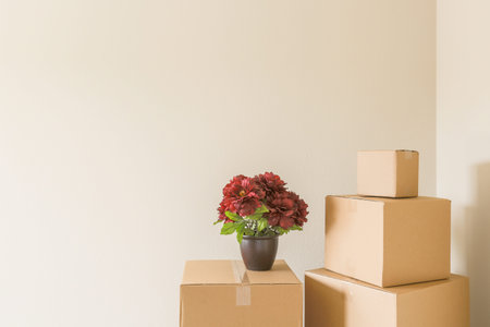 Variety of Packed Moving Boxes and Potted Plant In Empty Room with Room For Text.