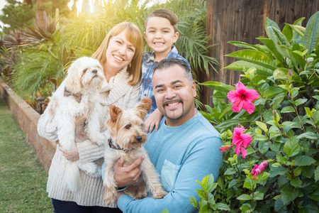 Happy Mixed Race Family Portrait Outdoors.の写真素材