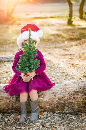 Cute Mixed Race Young Baby Girl Having Fun With Santa Hat and Christmas Tree Outdoors On Log.の写真素材