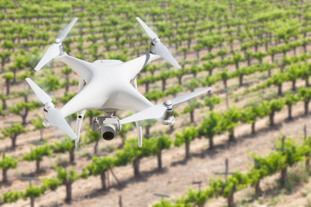 Unmanned Aircraft System (UAV) Quadcopter Drone In The Air Over Grape Vineyard Farm.