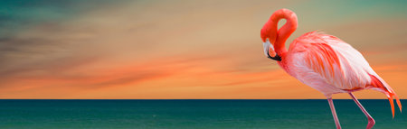 Two Flamingos Standing at the Tropical Shoreline Banner.の写真素材