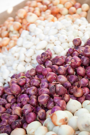 Colorful Variety of Freshly Picked Organic Onions on Display at the Farmers Market.の写真素材