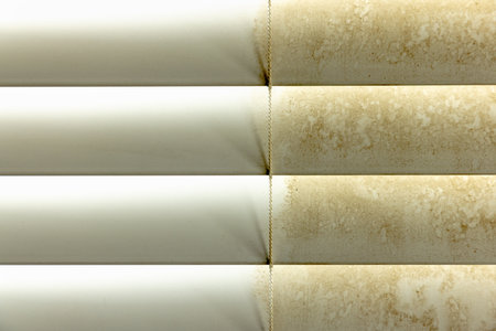 Residential Window Shades Showing the Before and After of a Good Cleaning - One Side Clean and One Side Dirty.の写真素材
