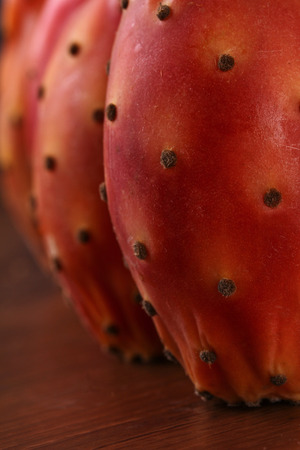 Nopalの写真素材