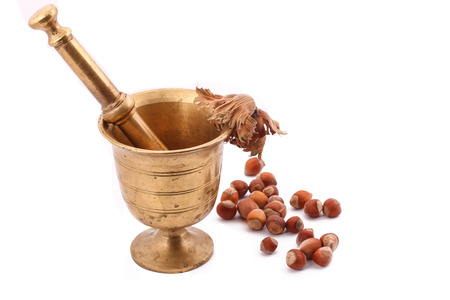 The Hazelnut and in the leaf old metal nutcracker on white backgroundの写真素材