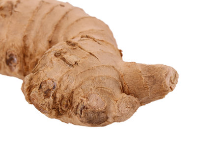 The Ginger root on the white background