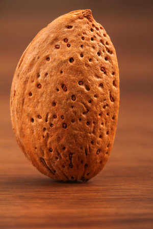 The Almond isolated on the wood