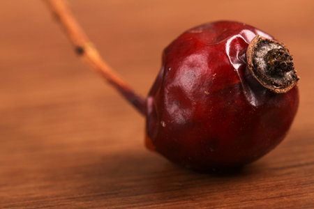 The dry rosehip on the woodの写真素材