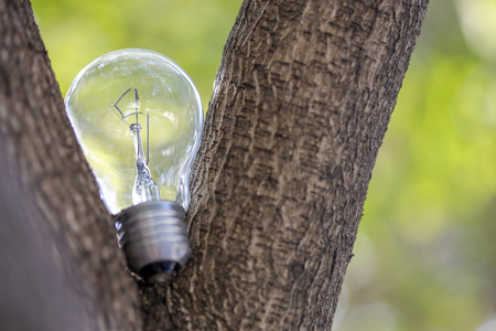 This symbolizes environmental sensitivity.の写真素材