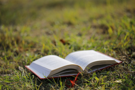 This is open book with summer background on the grass.の写真素材