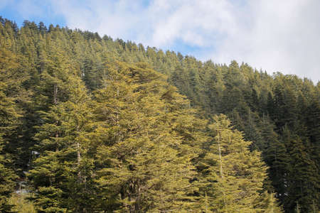 This is a very beauty scene of the earth.の写真素材