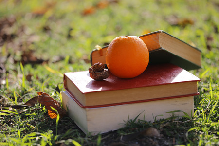 There is needs of student things on the natural place.の写真素材