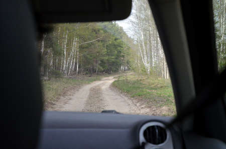 Road in forestの写真素材