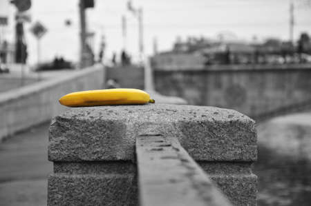 Yellow banana in cityの写真素材