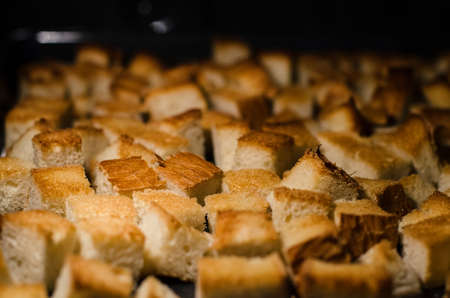 Warm chopped rusks crackers in ovenの写真素材