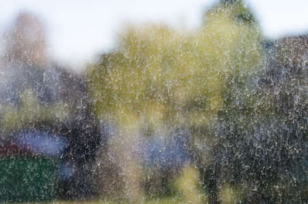Dirty window glass after rainの写真素材