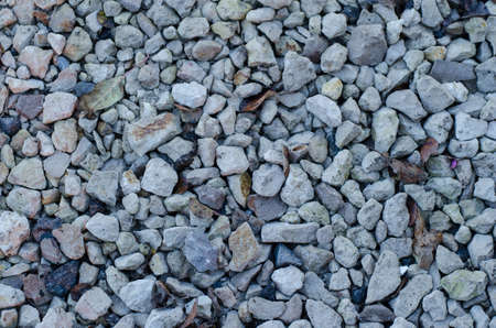 Autumn gravel floor on streetsの写真素材