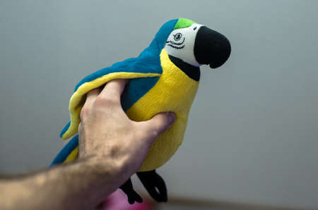 Parrot toy in mans handの写真素材