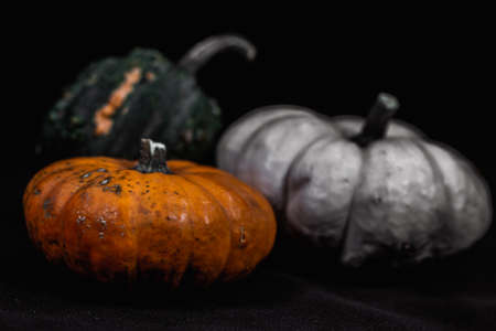 An arrangement of small colorful pumpkins in front of a black background, changing focusの写真素材