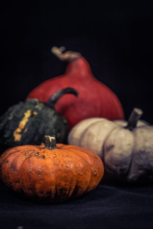 An arrangement of small colorful pumpkins in front of a black background, changing focus