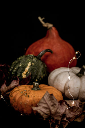 An arrangement of small colorful pumpkins in front of a black background, sometimes decorated with...