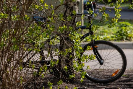 a bicycle stands near a green tree in the background of the houseの写真素材