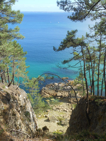 Perfect viewpoint in the Bois du Kador - Morgat - Presquの写真素材