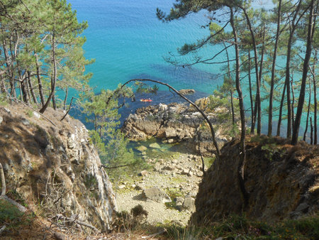 Beautiful viewpoint in the Bois du Kador - Morgat - Presquの写真素材