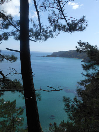 Viewpoint on the sea - Bois du Kador - Morgatの写真素材