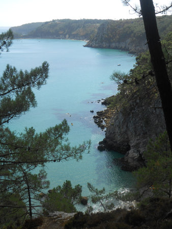 View in the pine wood - Morgatの写真素材