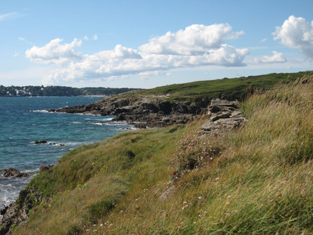 The moorland between Kerfany and Trenez - Finistereの写真素材