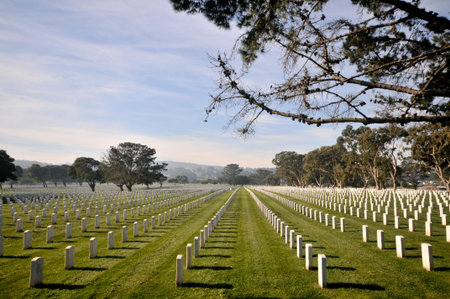 Cemetery with lots of gravestones in a row and grass.の写真素材